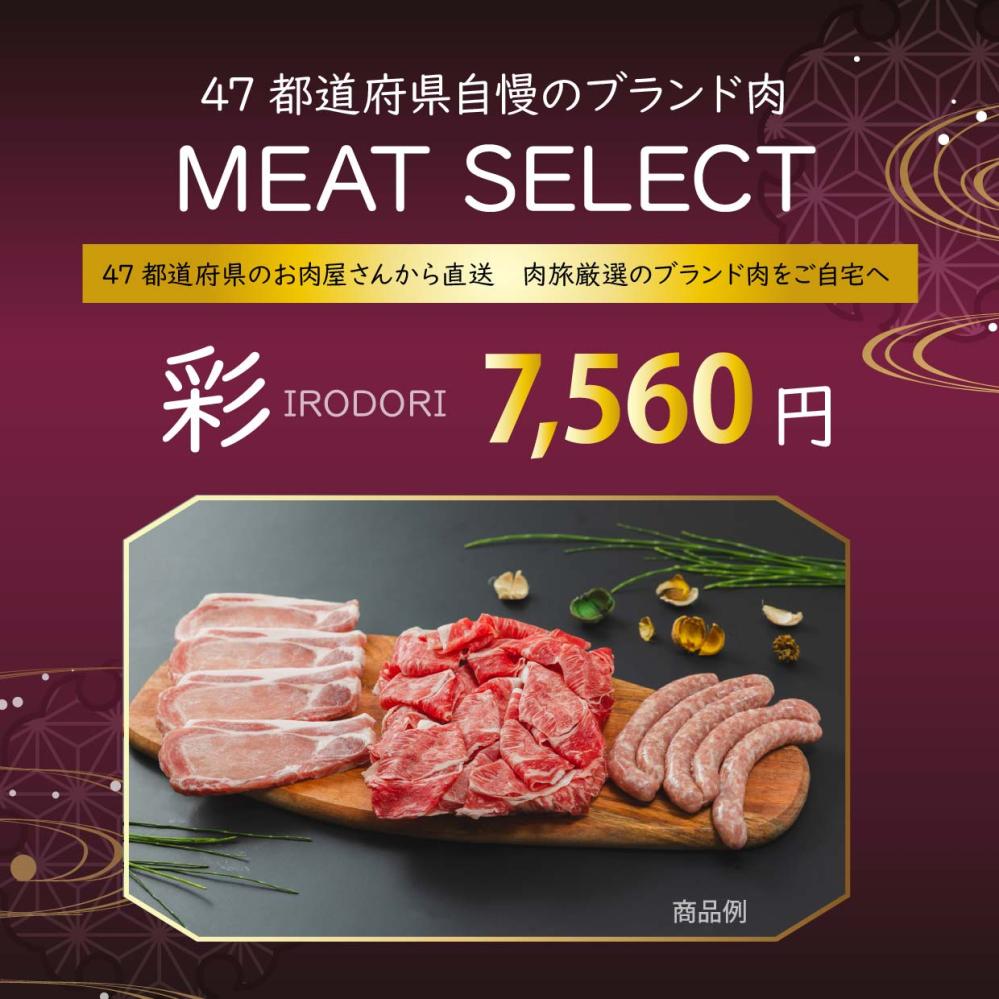 肉旅便　彩【IRODORI】セレクトセット！800g～